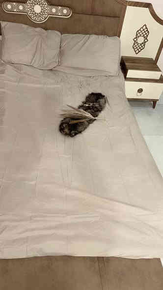 #للبيع_جملة بكج كامل طقم شرشف سرير الكارتون يحتوي (عدد 9  بكجات ) السعر كارتون كامل 80 الف  وبي مجال وتوصيل جميع محافظات 
#للحجزوالاستفسار_واتساب_*********** 

طقم مكون من 3 قطع بمقاس كامل/كوين باللون البيج يتضمن (1) غطاء لحاف  فندقي طباقات كبس مقاسcm 220 × 155 و(2) غطاء وسادة مقاس80 ×80cm
مصنوعة من ألياف البوليستر الدقيقة فائقة النعومة؛ قوية وخفيفة الوزن؛ 100% بوليستر
