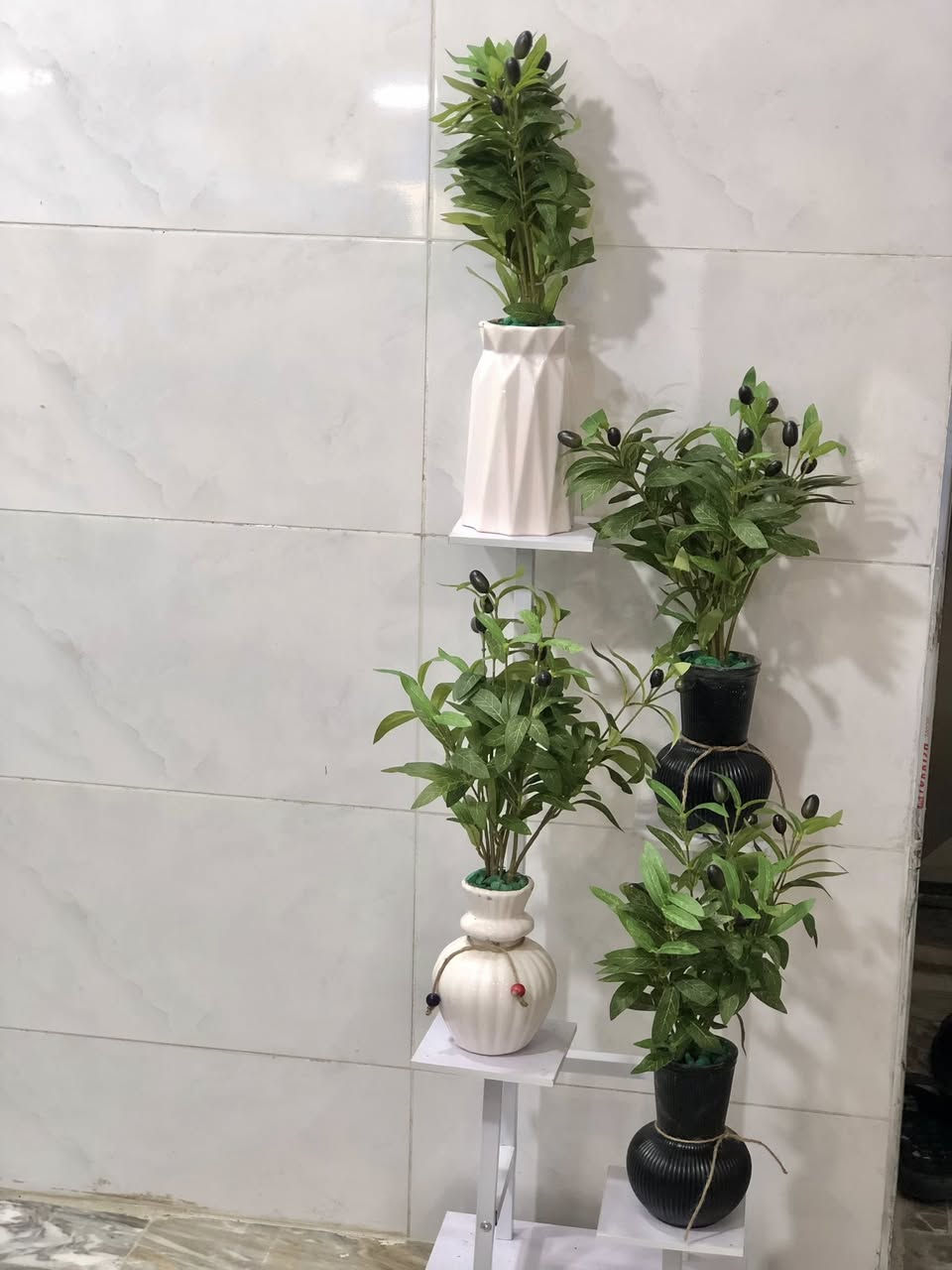 نباتات صناعية جديدة


**إذا كنت صاحب هذا الإعلان وتريد حذفه لأي سبب، رجاءا أرسل رسالة إلى الدعم الفني**