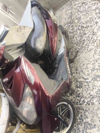 دراجة • جبلي • فحل