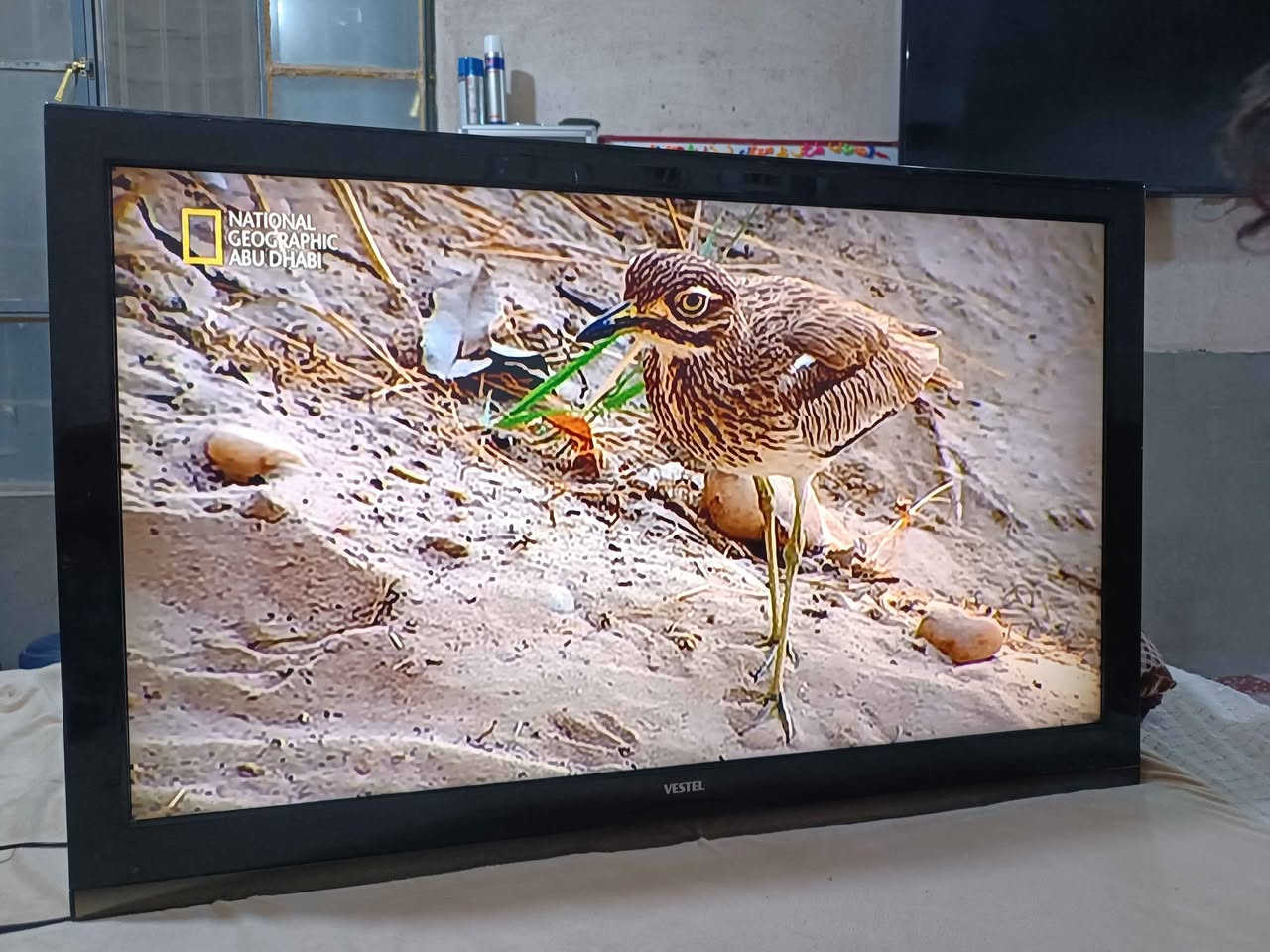 شاشه نوعها فستل اصليه  صناعه كوري حجمها 50 بدون انترنت  الوان طبيعيه وصوت ستيريو قوي فول اج دي شرط النضافه والفحص السعر 180 العنوان كوفه النجف, العراق


**إذا كنت صاحب هذا الإعلان وتريد حذفه لأي سبب، رجاءا أرسل رسالة إلى الدعم الفني**