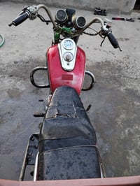 دراجة • جونده • أوراق أصلية