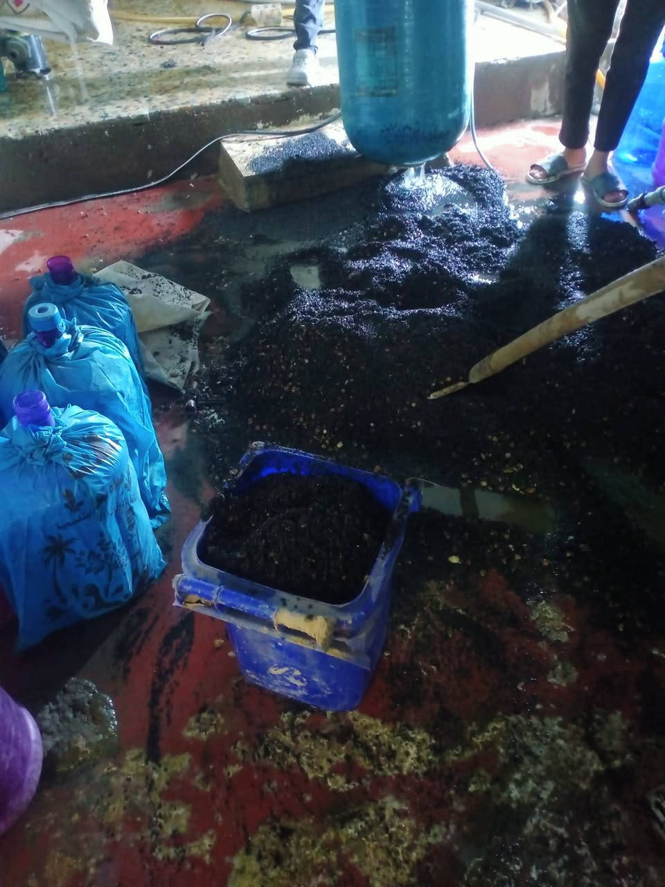 من المشاكل الشائعة التي يعاني منها اصحاب مشورع محطات المياة
كبس او انبعاح الفزل المديا (الكاربوني) 

يكمن الحل ب احدة الطرق 

زرع منضم ضغط (برشر) امام المضخة العمودية 

او زرع كاك ( قفل) امام المضخة العمودية مع قفل الكاك بنسبة ٣٠٪ يسمح بتاخر الماء داخل الفزل و ينضم سحب المضخة 

او وجود فلاش باك من الانتاج الى السحب امام المضخة العمودية 

جانب من صيانة كادر فني في منطقة حي الجهاد بغداد

للتواصل 

*********** يوجد واتساب
