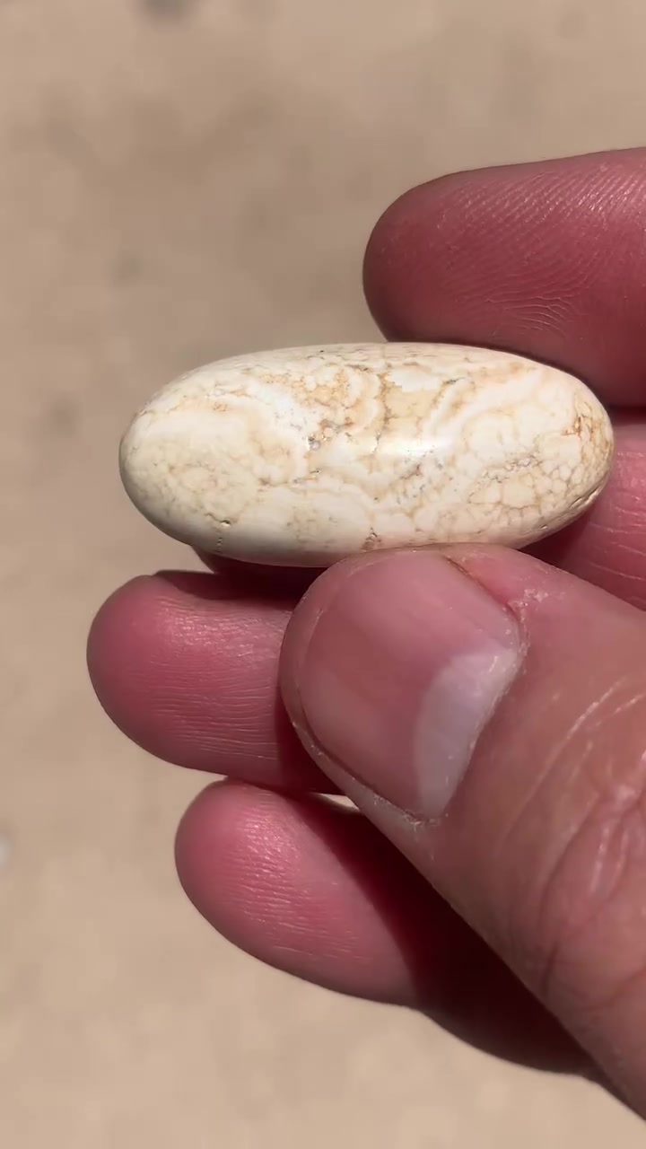 عطف قديم قياس الحجره 4 سم شراي يراسل ويدلل


**إذا كنت صاحب هذا الإعلان وتريد حذفه لأي سبب، رجاءا أرسل رسالة إلى الدعم الفني**