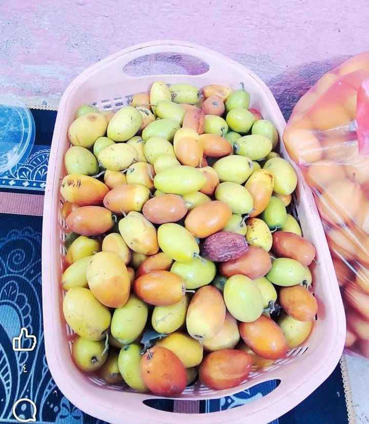 السلام عليكم ورحمة الله وبركاته الي حاب يطعم السدر اني بالخدمه اي استفسار بخصوص السدر اني خادم رقمي بي واتساب ***********0
