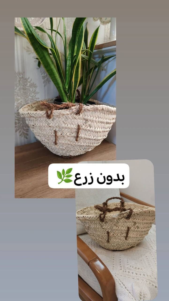 للبيع


**إذا كنت صاحب هذا الإعلان وتريد حذفه لأي سبب، رجاءا أرسل رسالة إلى الدعم الفني**