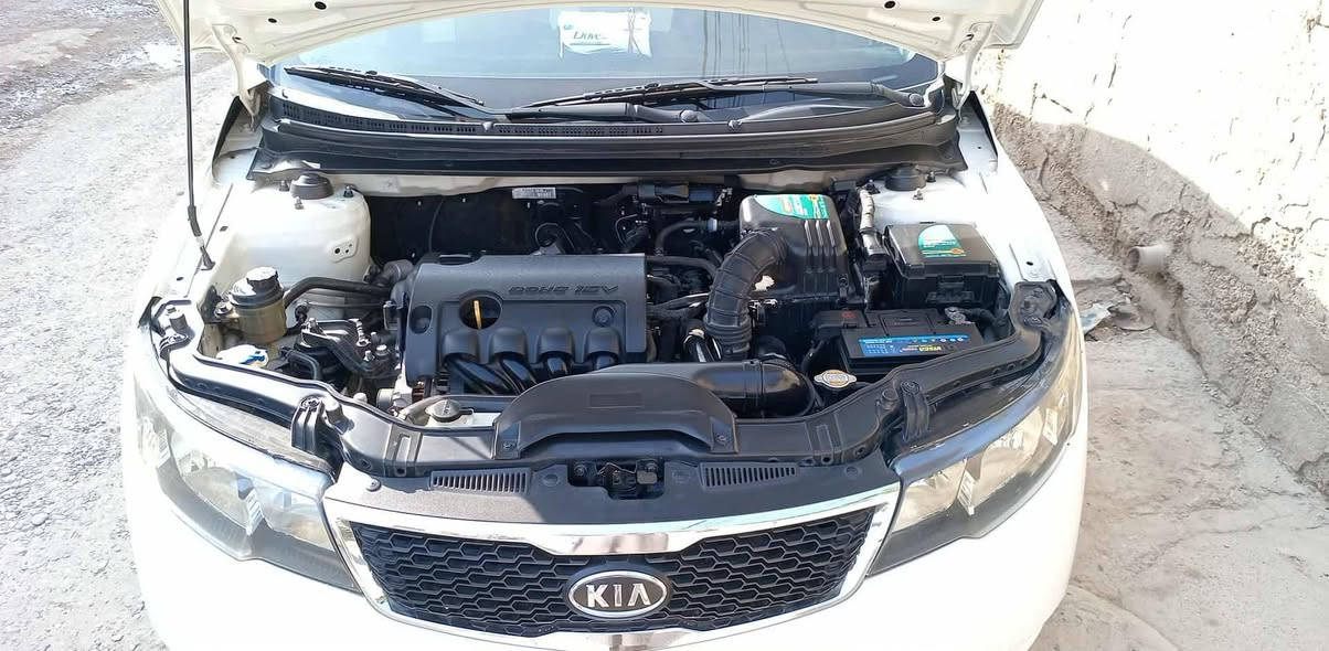 شلونكم جميعا
لي يدور نظيف ومكفول من الحادث والصبغ والتبديل
يطب عل منشور ويشوف
كيا سيراتو موديل 12 رقم أربيل الجديد دخلها جلد شغل درجة أولى من كشنات وارضية وأبواب وصندوك صدرها إلا ناعمومكفول ميكانيك من محرك وكير نظيف سعرها 110 وبيها مجال كلش قليل وهذا رقمي *********** مكانها ديالى بعقوبة حي المعلمين
