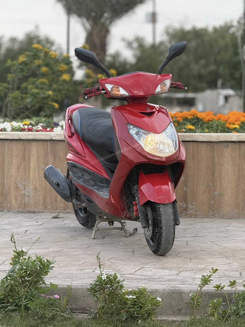 سكنس فحل ياباني نوزل سكليتر خطين قبق نفخ سناند حساس الدرجه احله من الصور مكفواله كفاله عامه من طول لطول الدرجه رمبه برغي مافتوح بيه اورقها كامله كمرك مدفوع الكفرات اصليه مو تجاري الدراجه ماشيه ٥٥ حقيقي كامله مكمله مابيه نقص مكان بغداد البياع السعر ٩٥٠ وبلخير ع ياخذها ملاحضه جيب ايفيتر يعجبك وفحص لحد متمل 
***********
