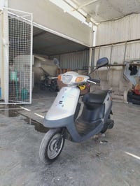 بطة • نظيف • سده الهندية