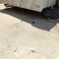 بدي مايلر للبيع طول 5.20$45$.         07805410362