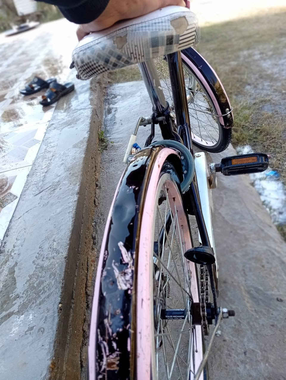 السلام عليكم ورحمه الله وبركاته بايسكل للبيع حجم 24 لونين وردي او اسود النضافه كدام عينك كامل من كلشي ماعدا بنجر خلفي يشهد الله بايسكل بلجيس فول الفول ماخذه قبل فتره ب75يشهد الله او هسه رايده ب 60او بي مجال للشراي تفاصيل اخرى تراسلني على هاي الصفحه لو على هذه الرقم او كون ممنون منكم ‏‪0777 994 2652‬‏
