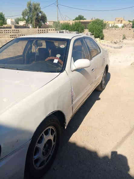 للبيع كريستا رقم بصره السنويه
27 مصبوغ جماليه مكفوله من الكص والضربه القويه  فقط*********** عرضانيه كامله مكانه الناصريه الجبايش السعر30
