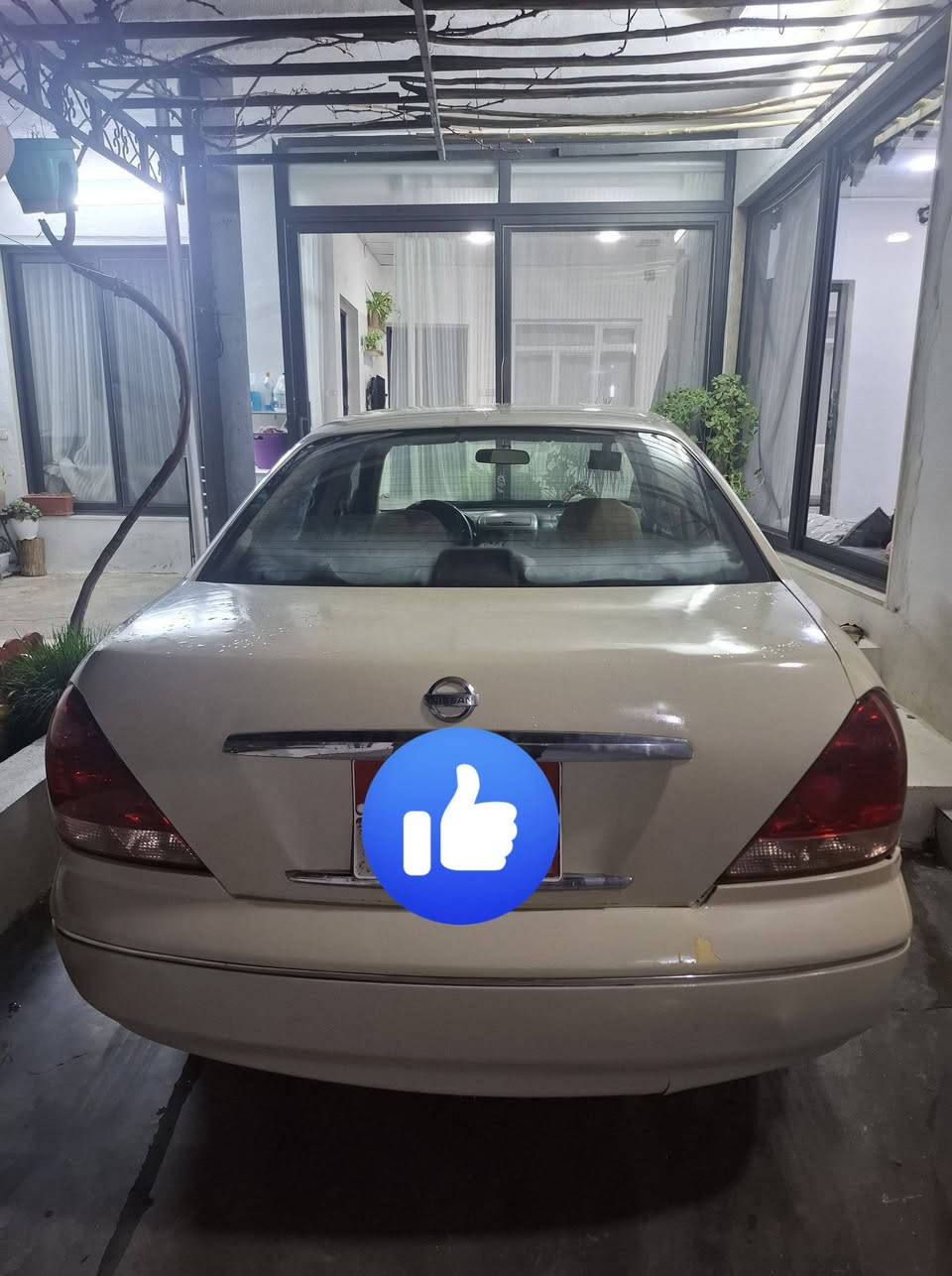 نیسان سەنی مۆدێل 2005 گێڕو مەکینە بەشەرت لێدانی کەمی پێشی هەیە گێڕعادیە سەنەوی بەسەرچووە نرخی 88$ ***********
