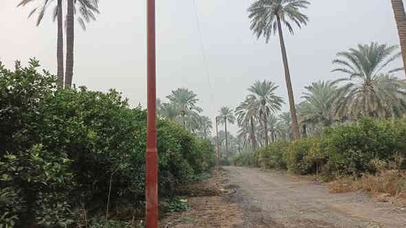 يا الله سلام عليكم ١٦٠٠ متر البيع طابو سند ٢٥
العنوان المدائن منطقة جعاره
تحويل مباشر بسمك  
الوجهة ٢٣  
نزال ٦٩
تبعد عن سعد ١٥٠ متر شارع كله مزارع
الاستفسار اتصال برقم ***********
