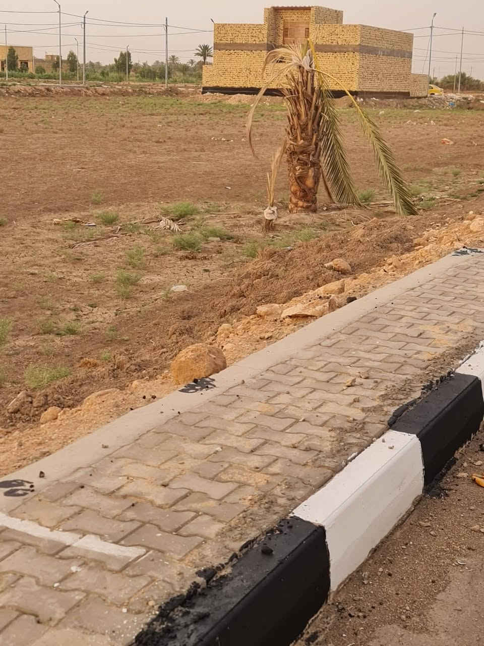 للبيع 3 قطع زراعي متجاورة سند 25 بمجمع اللؤلؤة ع طريق دغارة ديوانيه مساحه كل وحده 360م واجه12م ونزال 30م.المجمع كامل الخدمات من كهرباء وماء وتبليط وارصفه ومجاري واناره ليليه.طبعا المجمع ع الشارع العام مباشرتا للاستفسار ***********
