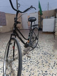 باسكل • ٢٦ • موديل ٢٠١٩