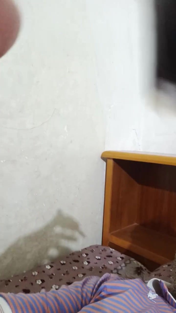 متاح بلبل اليف مكاني مسيب ه‍***********
