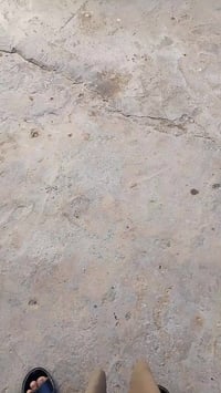 ماكس • جسد كامكو • كلشي شغال