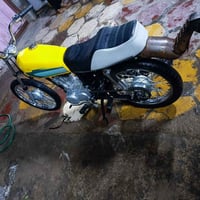 شلامجه • أوراق • توصيل