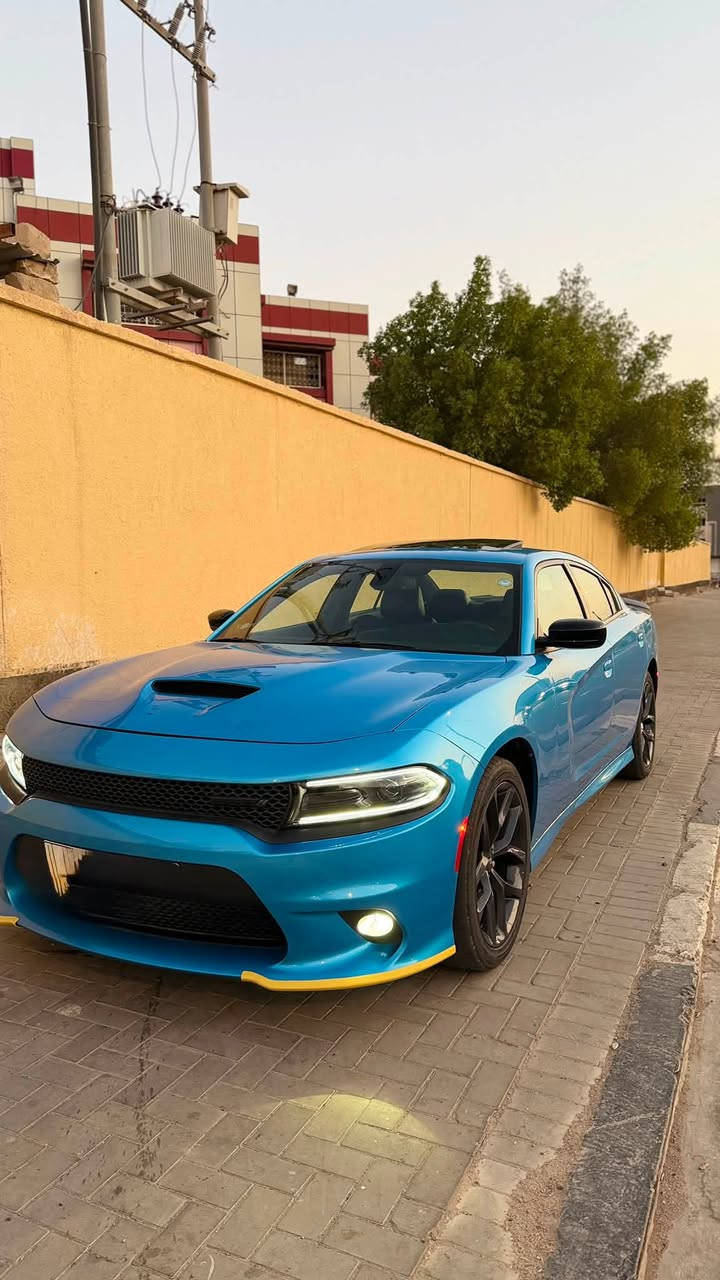 . GT PLUS جارجر
الموديل :2023 . (خليجي) .وكاله هارلم
العداد : 66الف . (حقيقي) .
المحرك : V6. 3.6L .
مكفول كفاله عامه من كلشي سياره
بحاله الوكاله
المواصفات :
.GT PLUS - SUPER TRACK PAK نسخة *
* نقطة عمياء .
* مصابيح أمامية زنون .
* كشافات الضباب زنون .
* المصابيح الأمامية مع LED .
* حساسات .
* شاشه كبيرة مع نظام ملاحة نفكيشن GPS .
* الشاشة مع اوپشنات SRT .
* سستم صوت الپاين .
* ويل قياس 20 انج .
* فتحت سقف (سلايد) .
* مقاعد جلد رياضية .
* مقاعد أمامية كهربائية عدد 2 .
* ذاكرة لحفظ وضعيات الجلوس (ميموري) .
* مقاعد أمامية تبريد وتدفئة .
* مقاعد خلفية تدفئة .
* تشغيل عن بعد .
* ستيرن كهربائي .
* تدفئة ستيرن .
* محدد سرعة .
* تلفون بلوتوث .
* كاميرا خلفية .
* مرايا متحسسة للاضاءة العالية .
* كير شفتر بالستيرن .
* دخول ذكي (بصمة) .

السيارة رقم اربيل تحويل ثاني يوم 
الرقم ***********
السعر 315$ وبيها مجال
