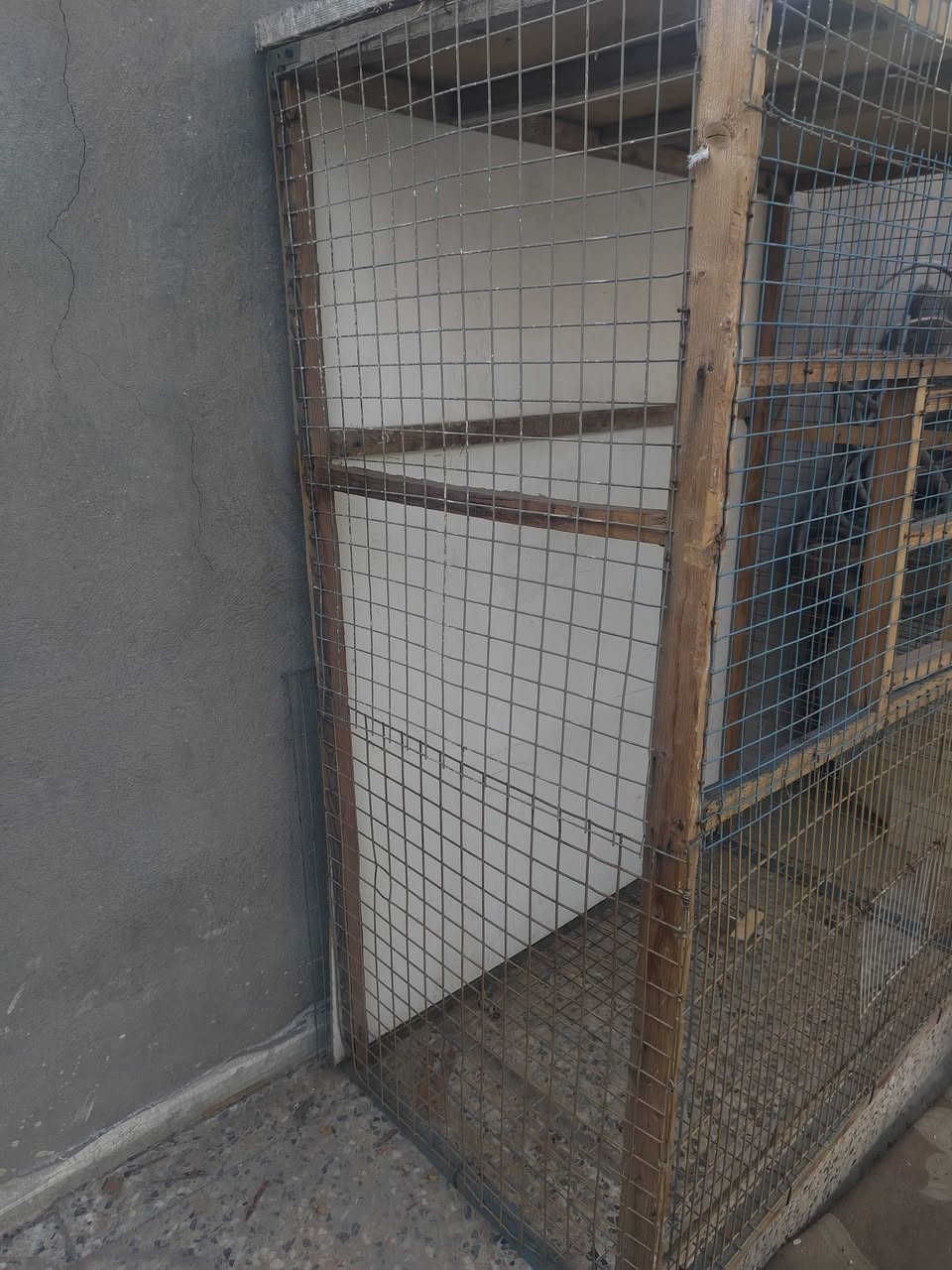 السلام عليكم ياالله عندي قفص لبيع السعر 30مكاني الدوره الصحه


**إذا كنت صاحب هذا الإعلان وتريد حذفه لأي سبب، رجاءا أرسل رسالة إلى الدعم الفني**