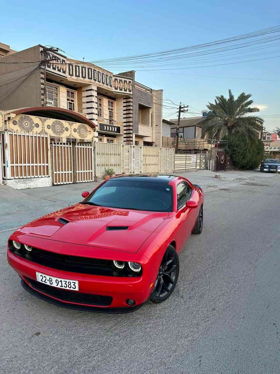 جالنجر sxt مكفولة كفالة عامة 135 ورقة
احمر طماطة
-موديل 2022
اربيل الجديد
ماشية 35 ميل
-بجم كبس
-ويل جيتي الاصلي 20
-برمجة
-ادامة   قبل فترة
زوج تايرات جدد
سياره كاملة ع اخر حباية وجديده كلش ماشالله وبيه نصبة بالواقع احلى من صور
حادث دعامية خلفية فقط يعني سيارة مكفولة من قطرة صبغ
مكاني بغداد
-سعر 135 قفل
سيارة عجبتك تاخذة وعلى راسي معجبتك تولي جوة رجلك
***********
