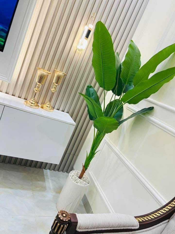 ١٩٠ سم سندانة زجاج ٣٤ الف


**إذا كنت صاحب هذا الإعلان وتريد حذفه لأي سبب، رجاءا أرسل رسالة إلى الدعم الفني**