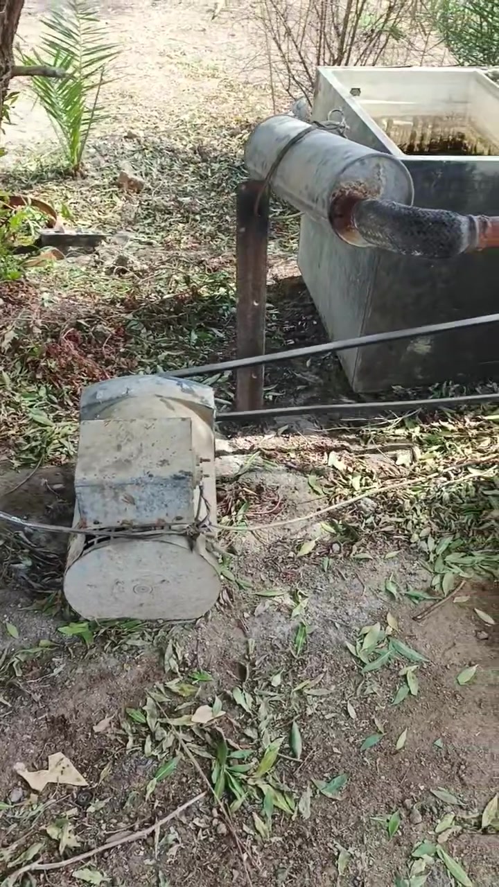 موالد هندي أبو 8 جاهز البيع 7ونص كيفي المكان الديوانية الحمزه الشرقي ***********
