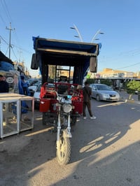 ستوته فحل للبيع 2023 ستوته جديده لوك طالب عليه مليون و800  الاتصال: 07...
