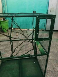 قفص طيور حب • شغل حديد • ١٢٠سم