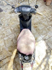 ياماها • ٦٠ • تاركها سنة