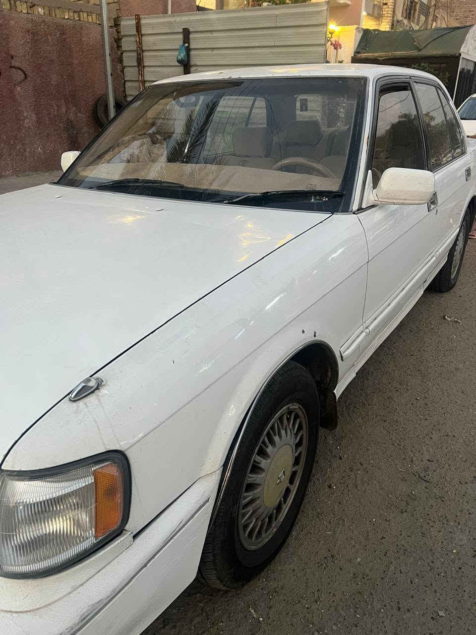 بسم  الله فره بدون صبغ للبيع الاتصال 
***********
