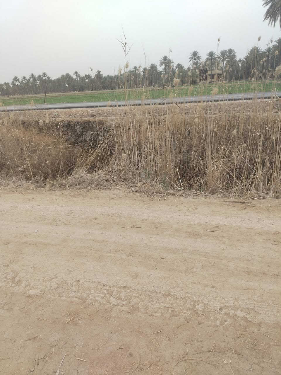 للبيع دونم ٢٥٠٠ متر مكان كربلاء اطوريج منطقت السنيه  قرب مجمع فاطمة الزاهرأخدمات فول تبليط وماي وكهرباء تحويل بسم المشتري مستعجل عله بيعته ***********

