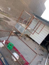 للبيع محل العدم التفرغ محل  مخضر مع محل شوي سمك ودجاج العنوان بغداد ال...