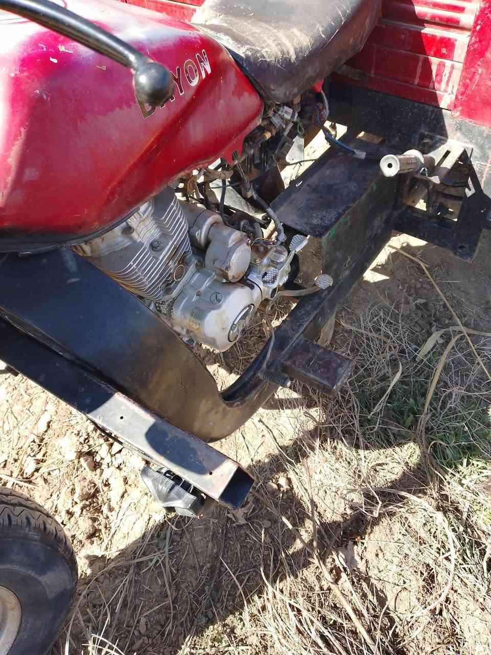 ستوته للبيع فحل على كل عيب شواصي مكفوله من كلشي رقم  الموبايل ***********
