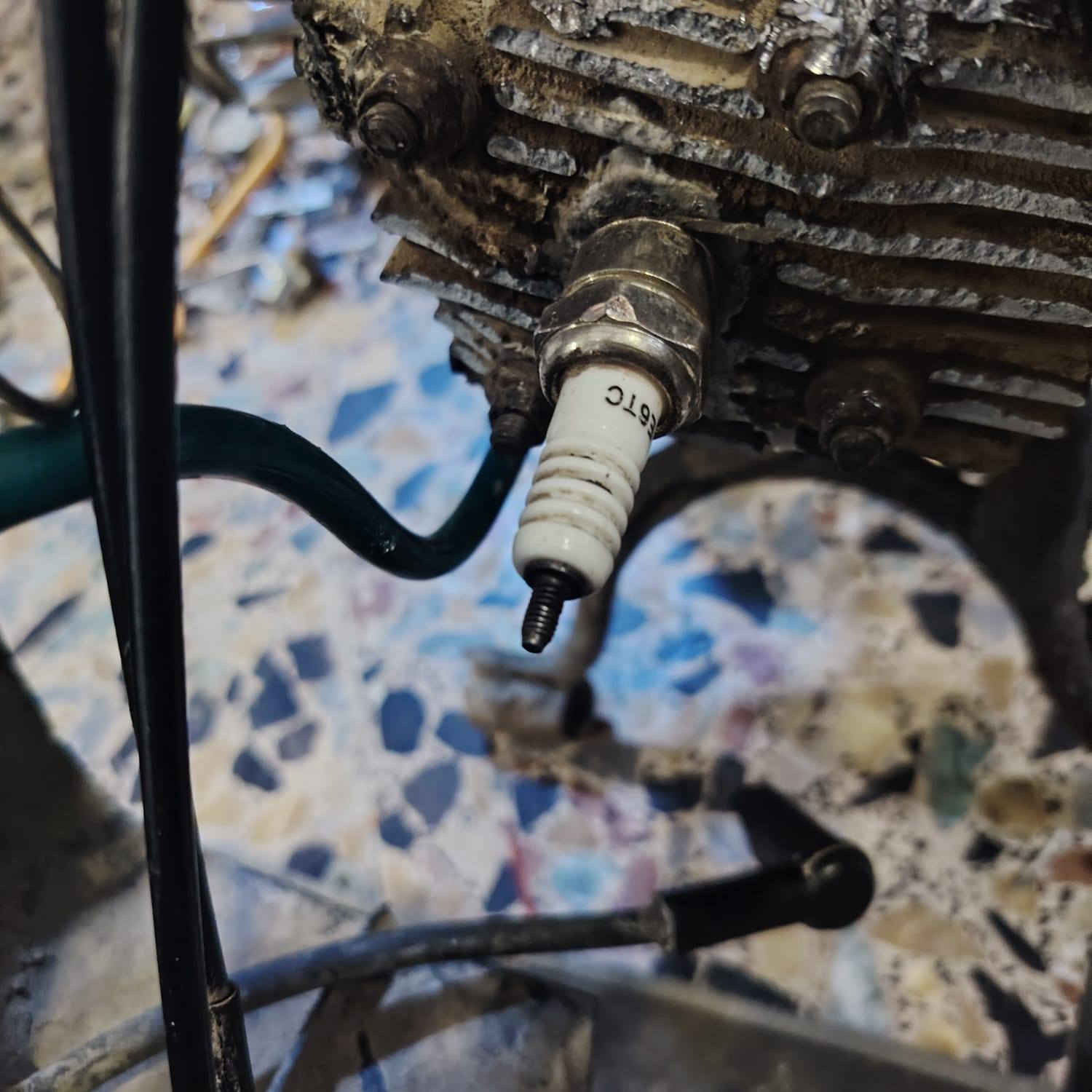 سلام عليكم دراجه بطه للبيع تحتاج كور موجود مشتري تفصيخ اصلي حته كازكيت جايب بس ردت افتح نتات الكورر
سحكن تجي اخليلك البلك شرط تشتغل بس بدل الكور الي مشتري اني الي يعرف يسويه بالعافيه سعره١٠٠قفل ربع مينزل  كفرات نضيفه  حته باتري شغال


**إذا كنت صاحب هذا الإعلان وتريد حذفه لأي سبب، رجاءا أرسل رسالة إلى الدعم الفني**