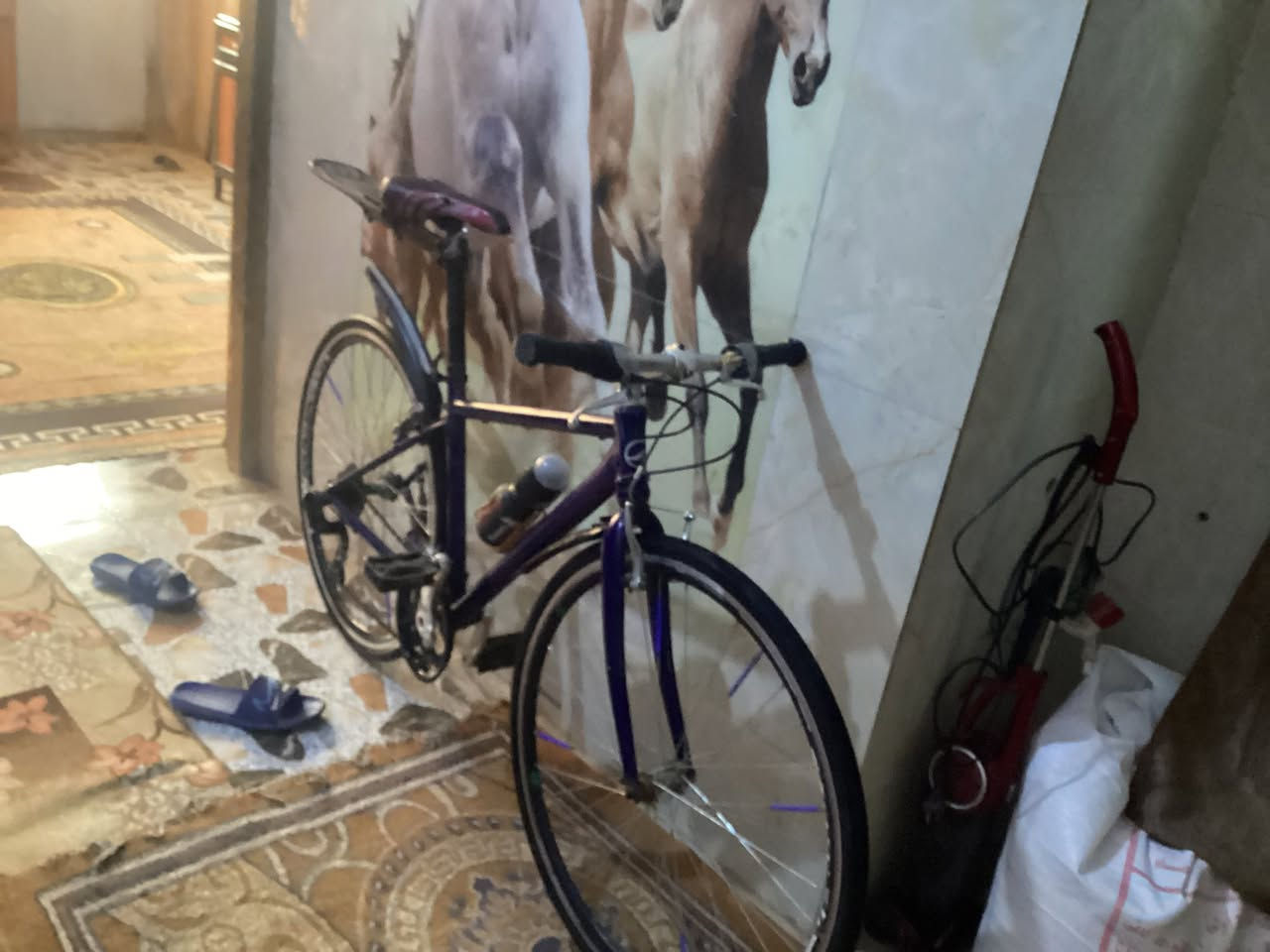 من رخصه الادمن بايسكل c700 كلش نضيف اللشه المنيوم الكير شغال ما بي اي نقص السعر 145 بي مجال التواصل *********** و خاص
