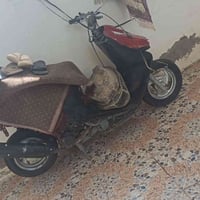 شغاله • متروكه • ١١٠