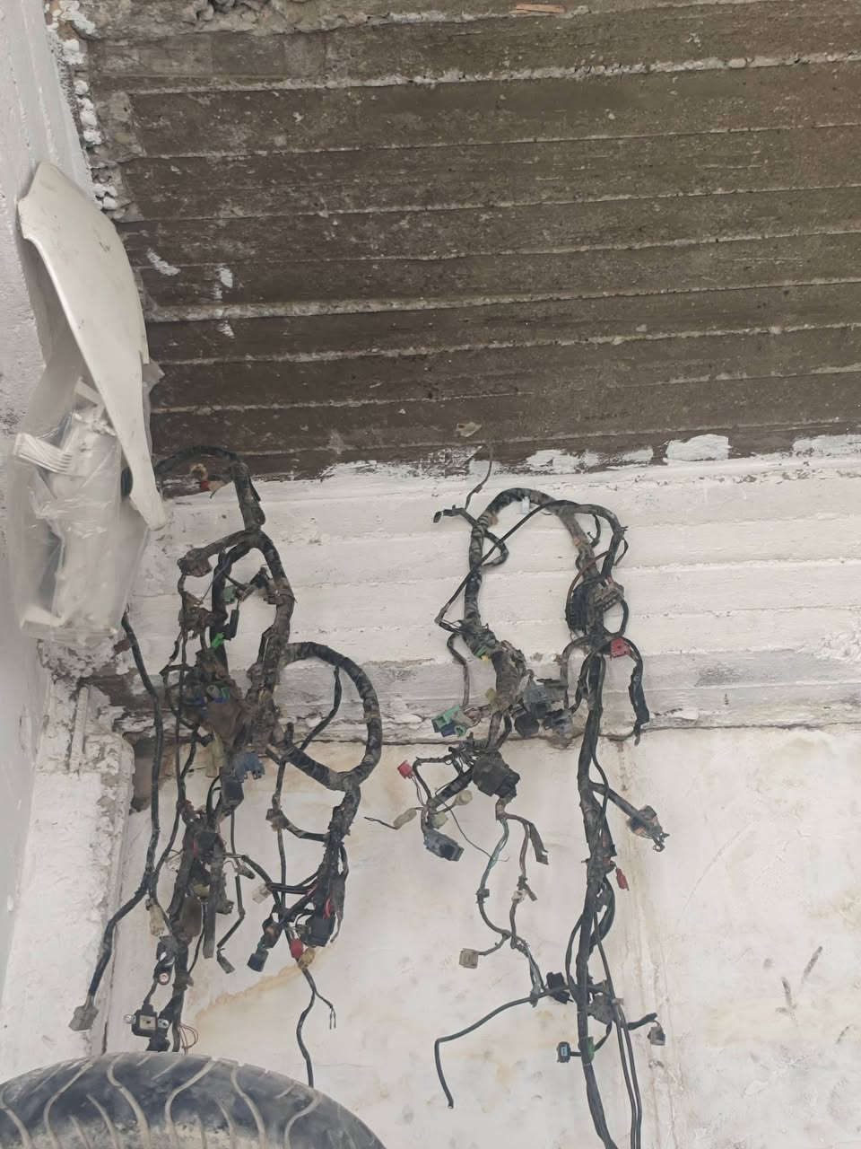 غراض فورزه جوه السوك اي شي تحتاج راسلني


**إذا كنت صاحب هذا الإعلان وتريد حذفه لأي سبب، رجاءا أرسل رسالة إلى الدعم الفني**