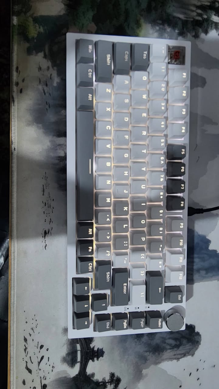 المعرف لا يعرف وحش الالعاب كيبورد AJAZZ AK820 🦾
حجم 75 بالميه نضافه فول سوج احمر 🔥
White light سعره 40 الف 🤍


**إذا كنت صاحب هذا الإعلان وتريد حذفه لأي سبب، رجاءا أرسل رسالة إلى الدعم الفني**