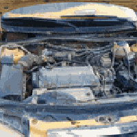 شيري • ٢٠١١ • واسط نعمانية