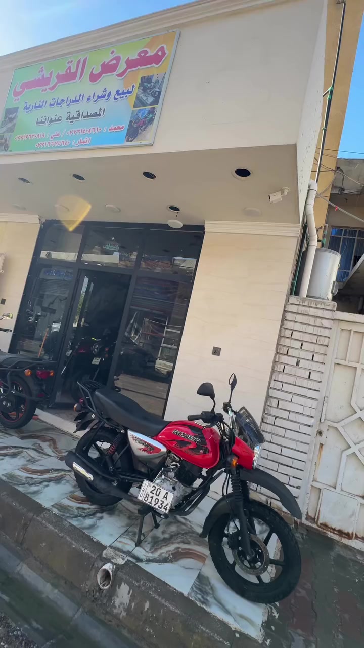 يالله معرض القريشي ديالى بعقوبة قرية خرنابات المصداقيه عنواننا 😍***********👍

توفر دايوان جبلي موديل 26 موديل 25 لوحه سنويه زيرو 😘

توفر دايوان لاتي زيرو موديل 25 صفر كيلو لوحات نكليزي 👏

توفر دايوان كلاسك زيرو موديل 25 صفر كيلو لوحه سنويه 😘

توفر دايوان موديل 24 مستخدم نظيف لوحه سنويه ✌️

توفر بوكسر مستخدم جبلي كلاسك مرقم مشروع وطني 👏

توفر شينك موديل 25 زيرو صفر كيلو رقم بغداد تحويل مباشر
