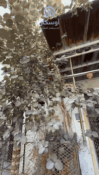 حي القائم • ١٠٠م • شارع ٣٠م