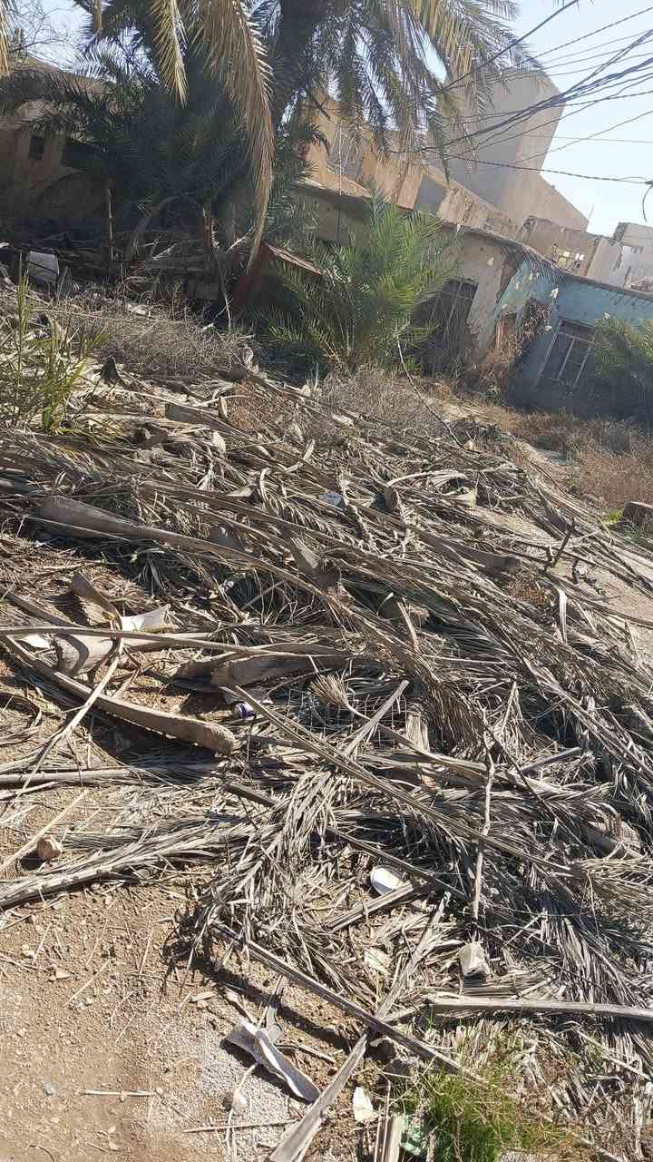 من رخصة الادمن
يوجد حطب سعف +كرب مال نخل يابس واشجار طرفه الي يريدة يجي ياخذه بلاش بس مايخلي شي ياخذه كله الي يردة يتصل على الارقام او بس يرمش
 ***********بي وتساب 
***********
المكان القائم حصيبة
