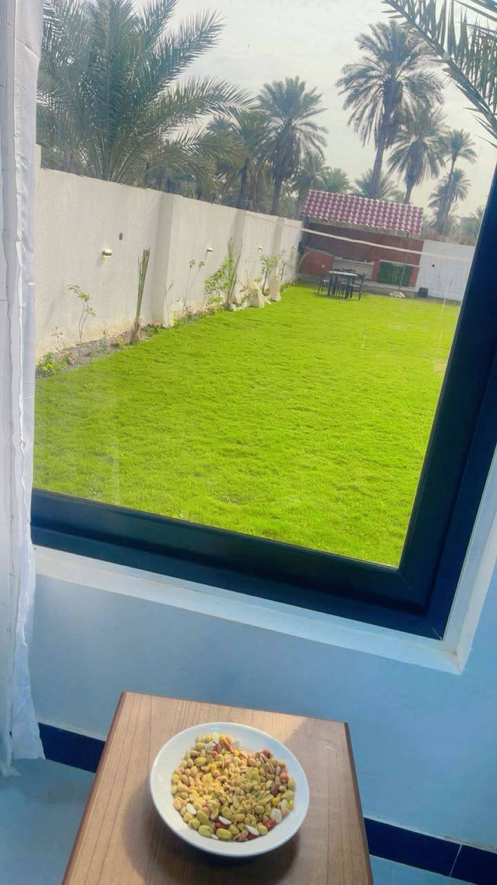 مزرعه ببسي للايجار اليومي..
الموقع بغداد الدوره البوعيثه..
خصوصيه تامه..
للاتصال ***********
المزرعه موثقه في تطبيق اجرلي..
