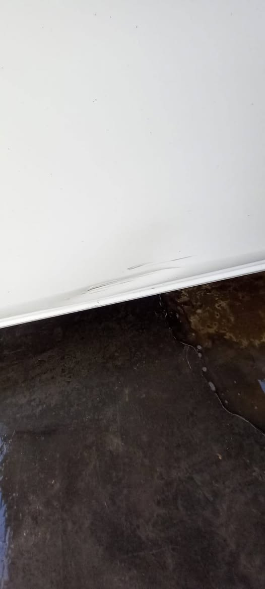 السلام عليكم نيسان هندي موديل 23 مكفولة بيها هاي طخة البسيطة  بلباب عكس السايق ماشية اربعينات السعر ١٢٠ للاتصال ***********
