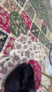 دوشمة سيارة • مطعمة حمرا • تلبيسة