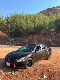 مكسيما ٢٠١١ • بدون دواخل • ١٣ غرامة