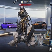 حساب بوبجي • امفور جوكر لفل ٥ • امفور النمر لفل ٦