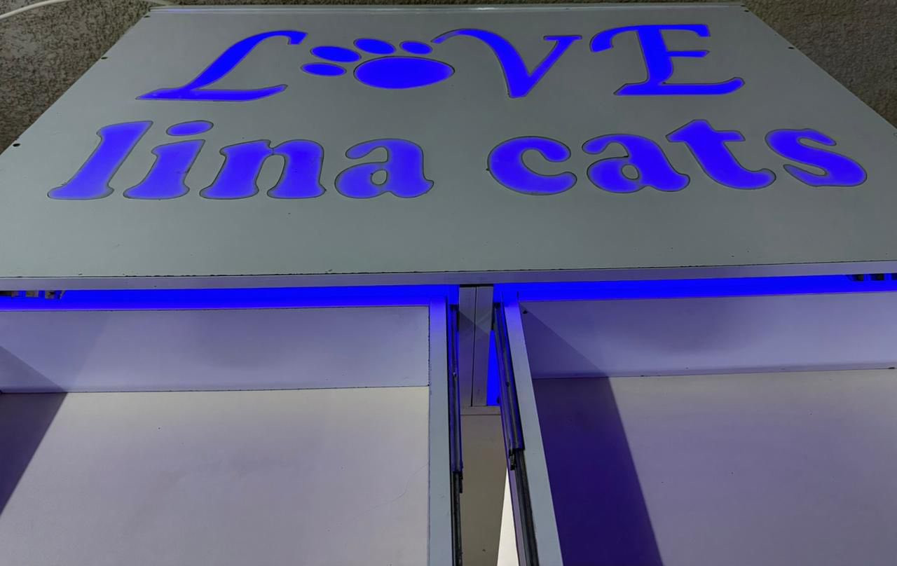 السلام عليكم
قفص ديكور وجميل جداً للقطط او الكلاب 🐈🐕‍🦺

نوع الخشب بلوك ايطالي ➕الجوانب نقش مشبك مغربي

القياسات

الطول  متر 

العرض متر وربع 

النزال  متر 

بغداد 📍

للستفسار اكثر خاص


**إذا كنت صاحب هذا الإعلان وتريد حذفه لأي سبب، رجاءا أرسل رسالة إلى الدعم الفني**