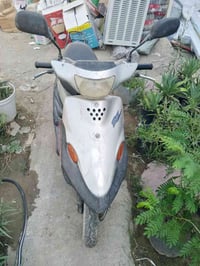 بيجي • شغاله • كهربائيات
